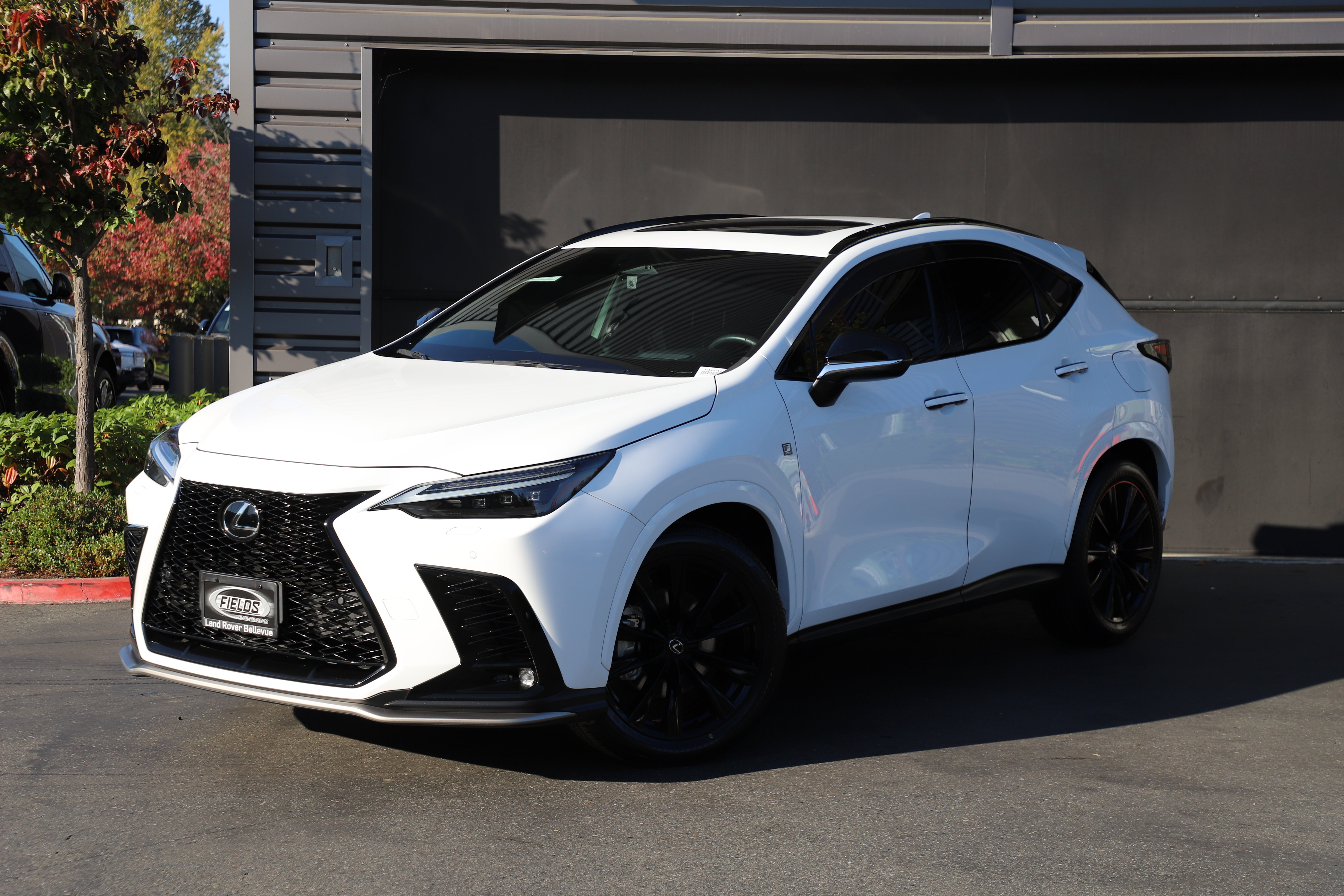 Used 2025 Lexus NX NX 350 F SPORT Handling NX 350 F SPORT Handling AWD
