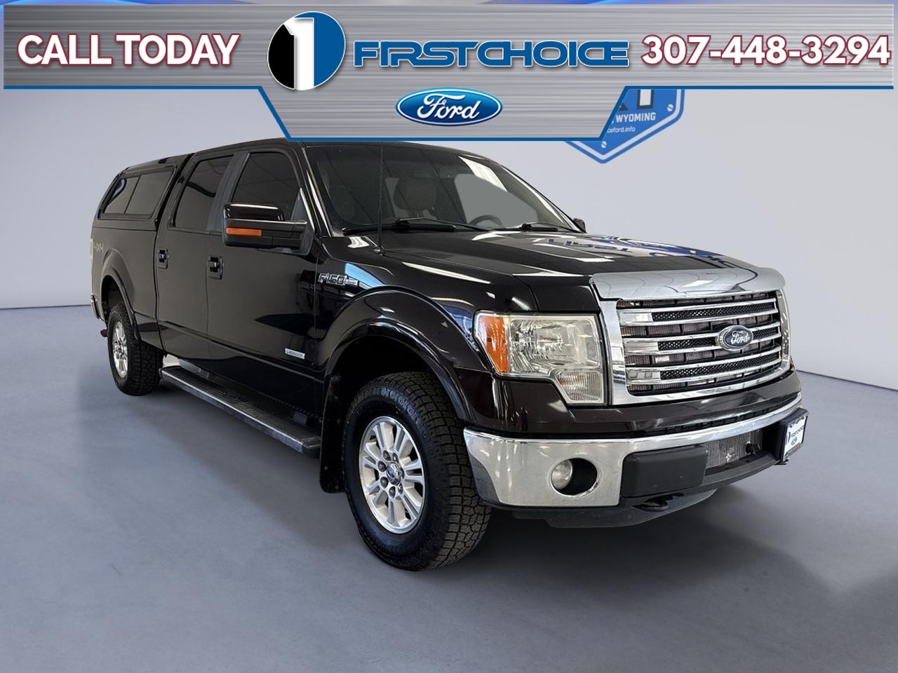 2013 Ford F-150