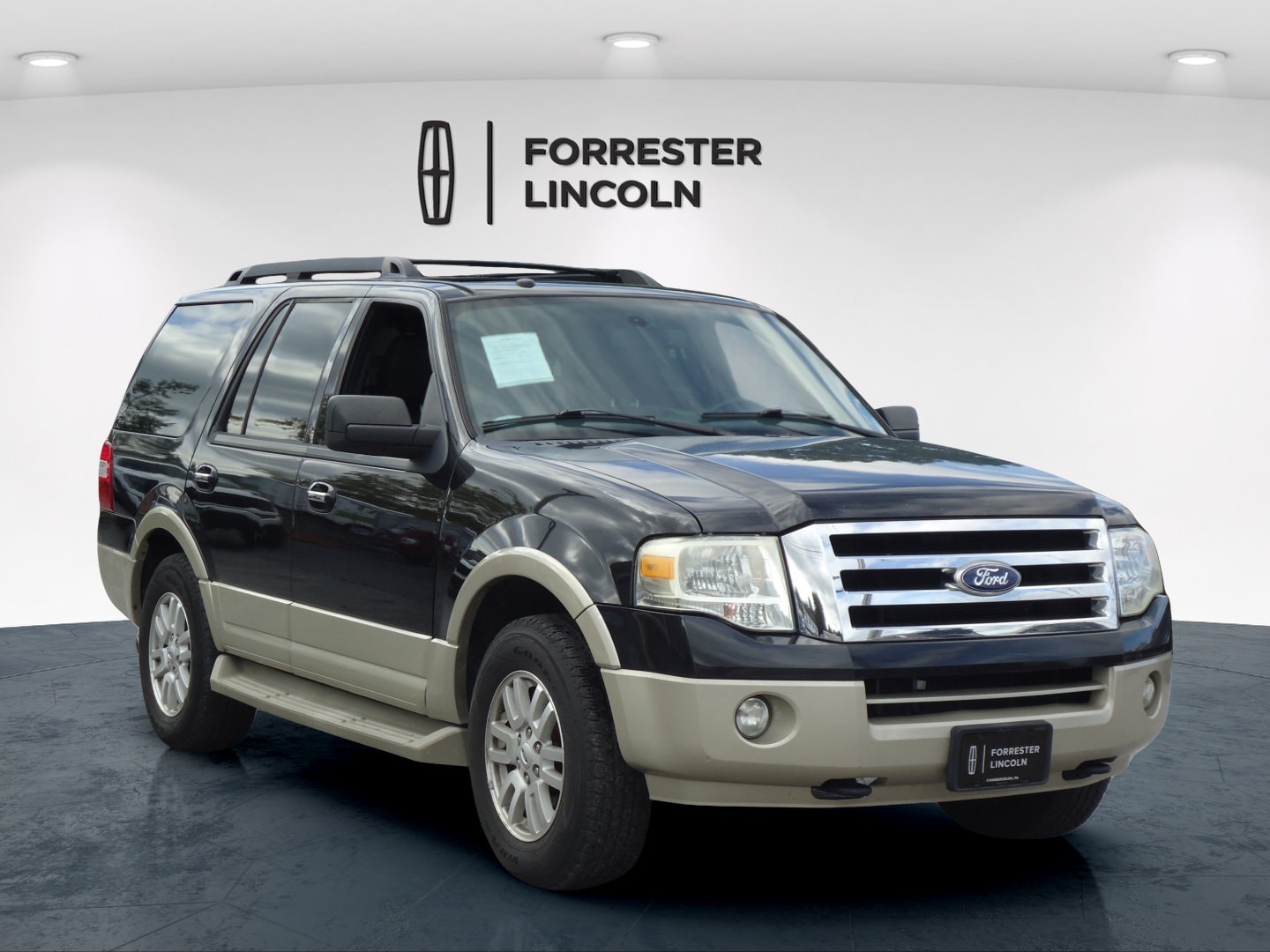 2010 Ford Expedition