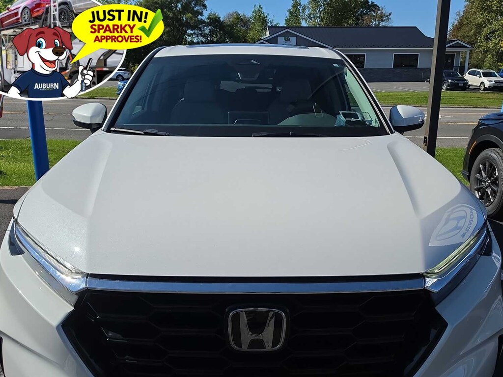 Used 2024 Honda CR-V EX-L SUV