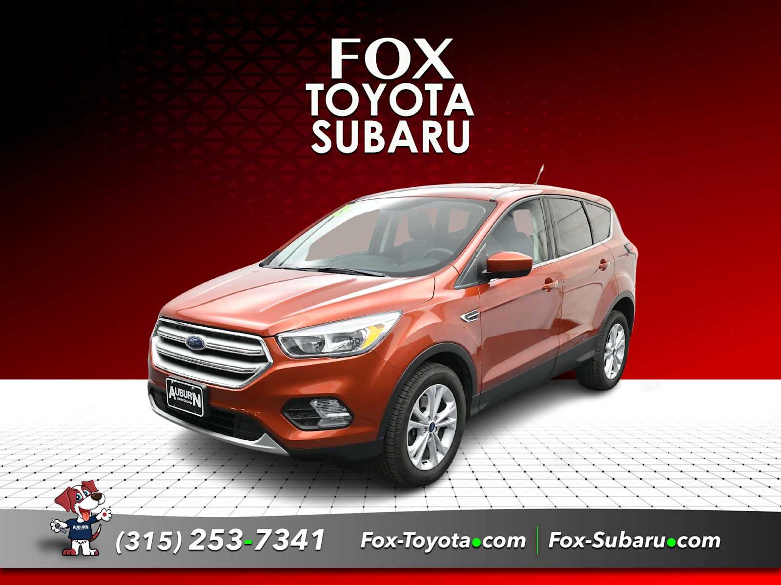 2019 Ford Escape SE