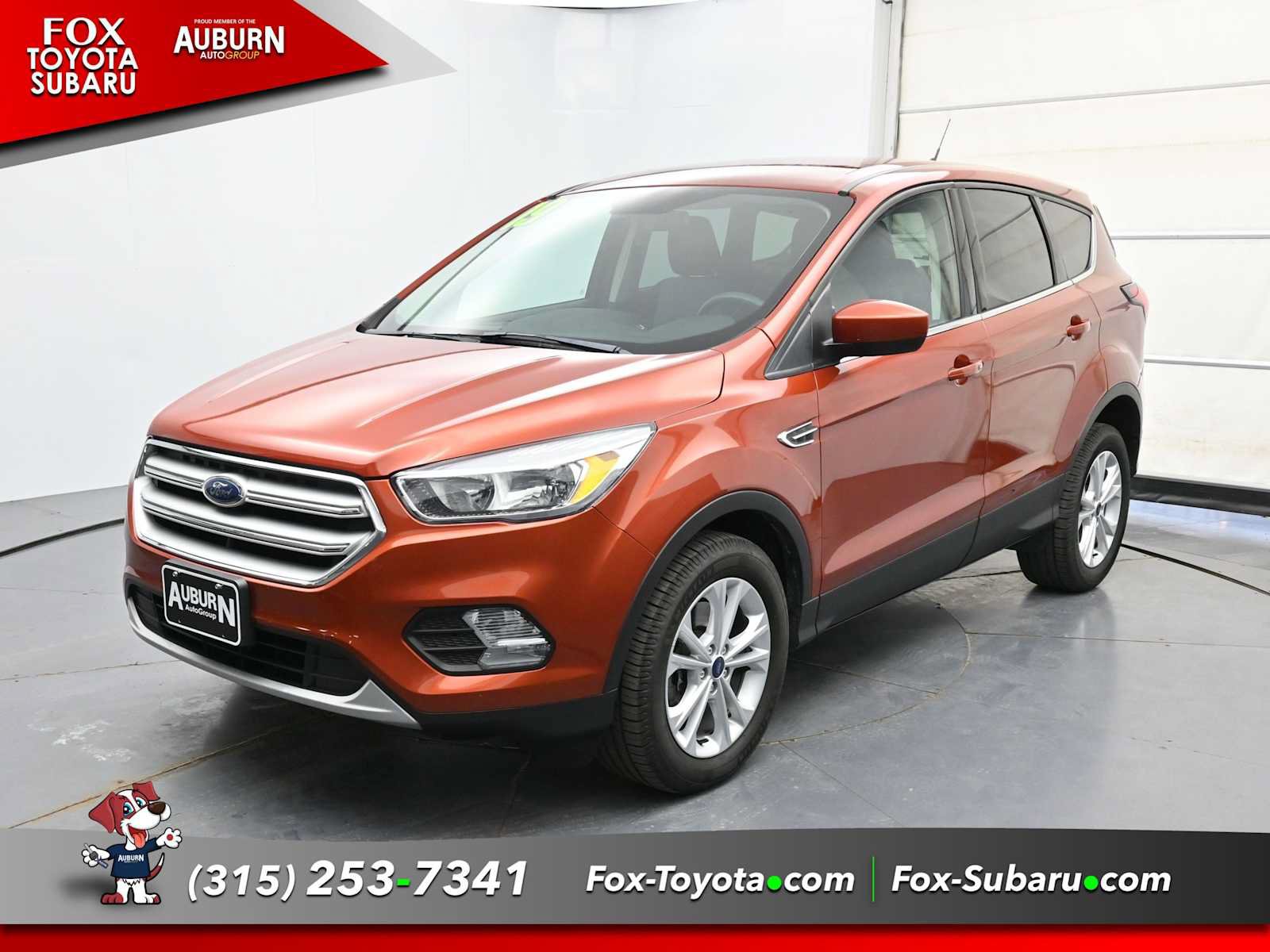 Used 2019 Ford Escape SE SUV