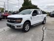 Used 2025 Ford F-150 XLT Truck