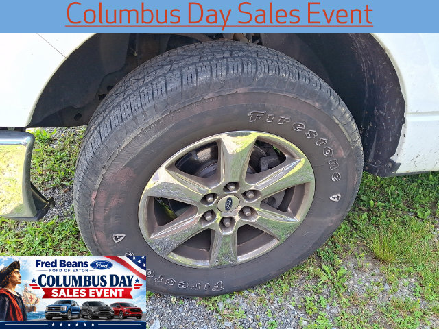 Used 2009 Ford F-150 XLT Truck