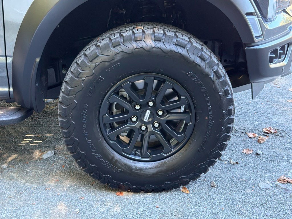 2026 Ford F-150 Raptor - Photo 9
