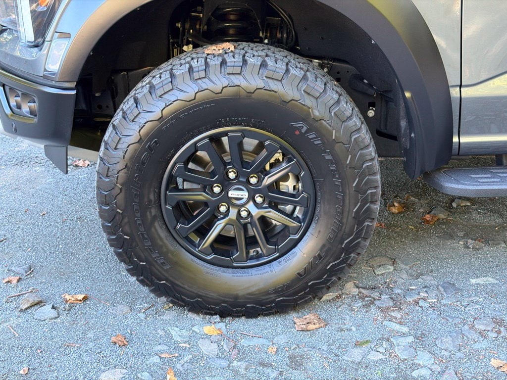 2026 Ford F-150 Raptor - Photo 6