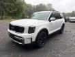 Used 2023 Kia Telluride SX-Prestige X-Pro SUV
