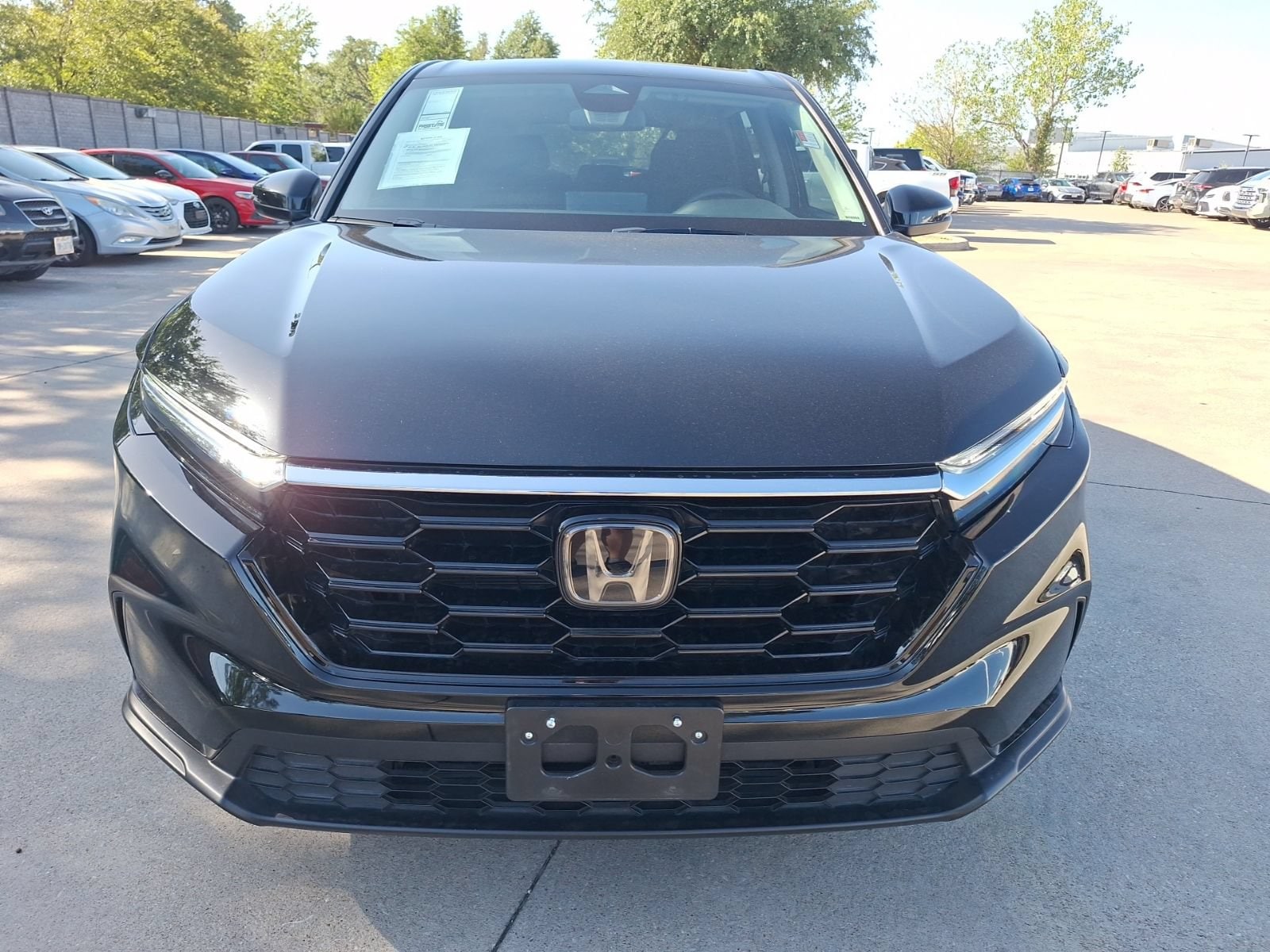 2025 Honda CR-V EX - Photo 8