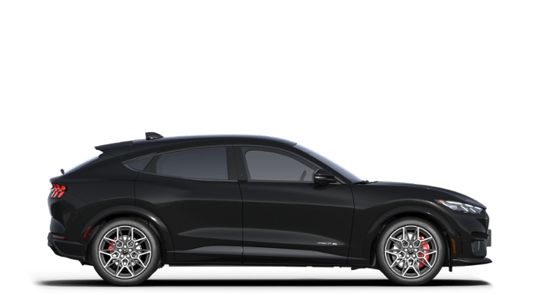 2025 Ford Mustang Mach-E GT - Photo 27