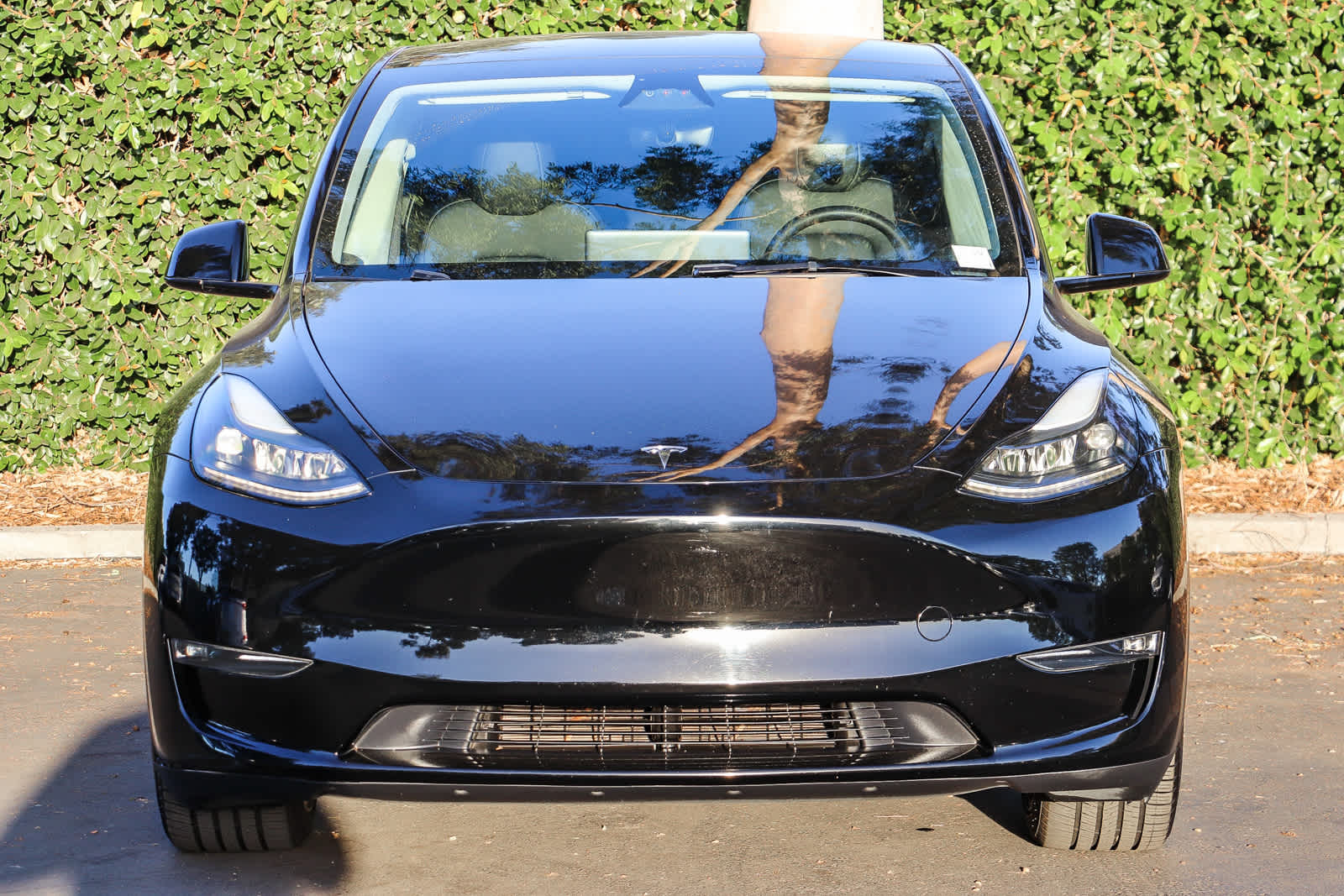 Used 2024 Tesla Model Y Long Range with VIN 7SAYGDEE5RA239116 for sale in Garden Grove, CA