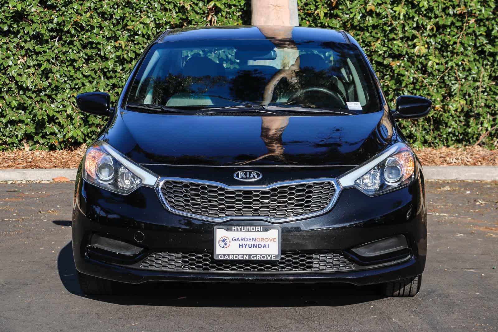 Used 2016 Kia Forte LX with VIN KNAFK4A65G5509428 for sale in Garden Grove, CA