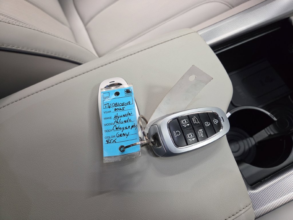 2025 Hyundai Palisade Calligraphy - Photo 14