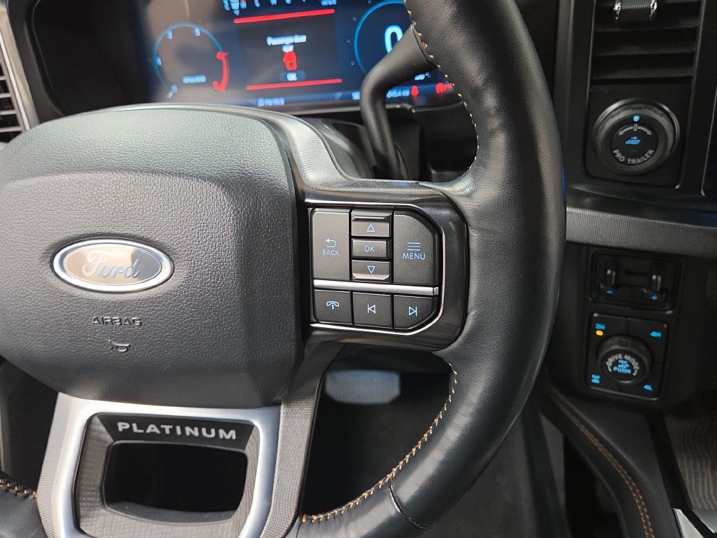 2024 Ford F-250 Super Duty Platinum - Photo 17
