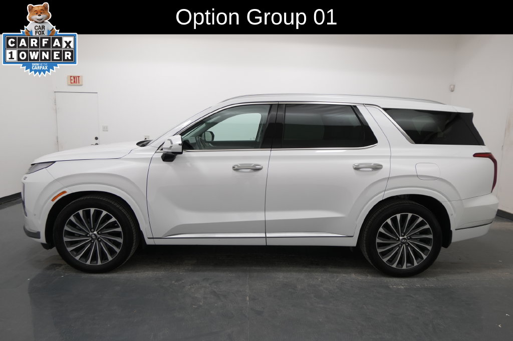 Used 2025 Hyundai Palisade Calligraphy SUV