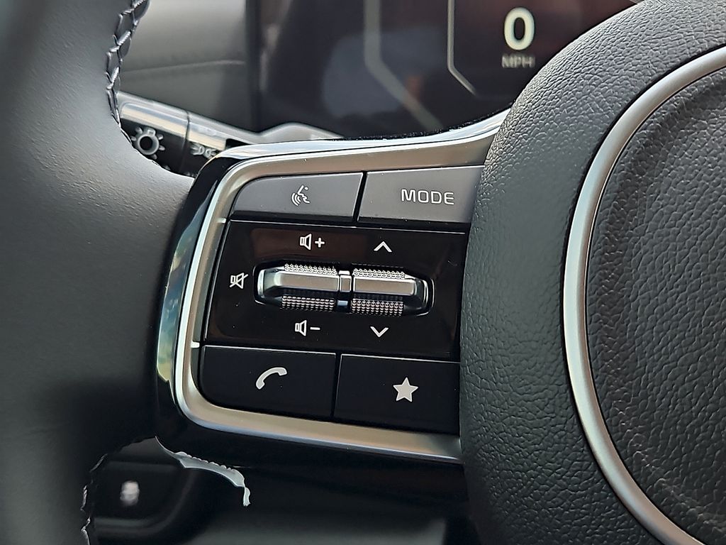 2026 Kia Carnival SX - Photo 22