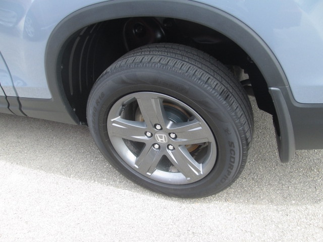 Photo 9