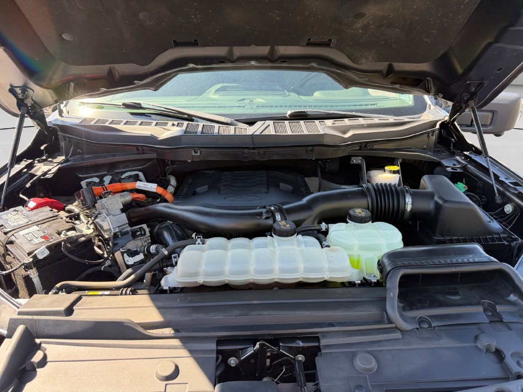 2021 Ford F-150 XLT - Photo 19