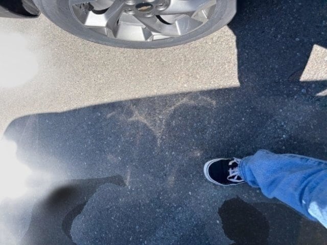 Photo 40