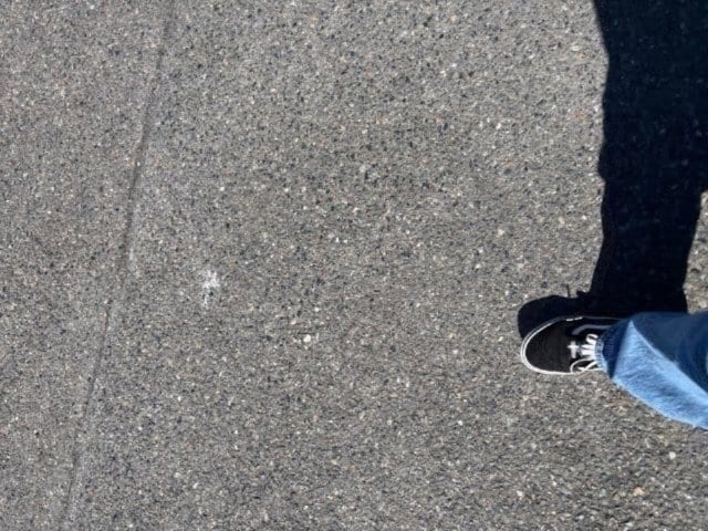 Photo 37