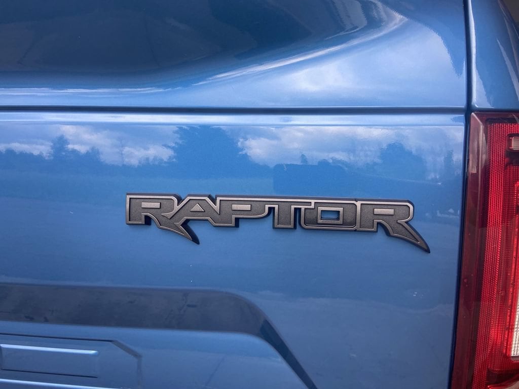 2020 Ford F-150 Raptor - Photo 29