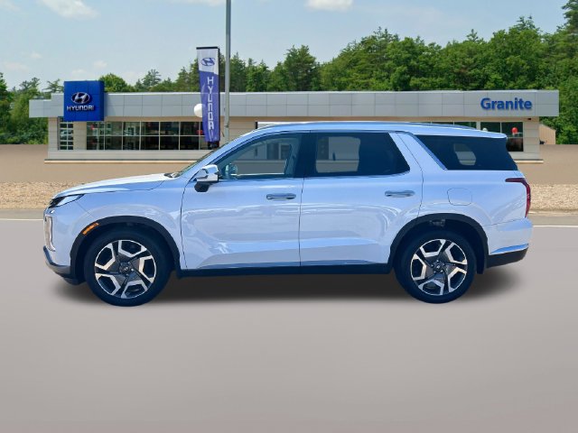 2025 Hyundai Palisade Limited - Photo 9