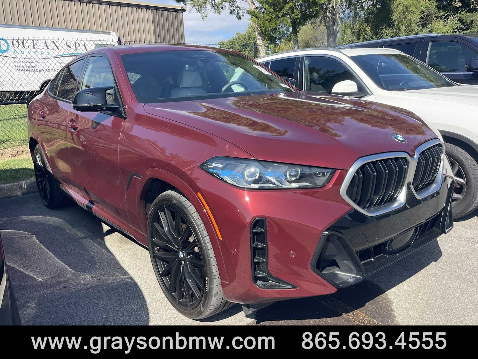 2025 BMW X6