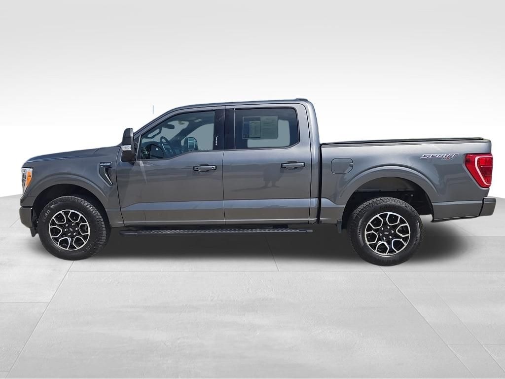Used 2023 Ford F-150 XLT Truck