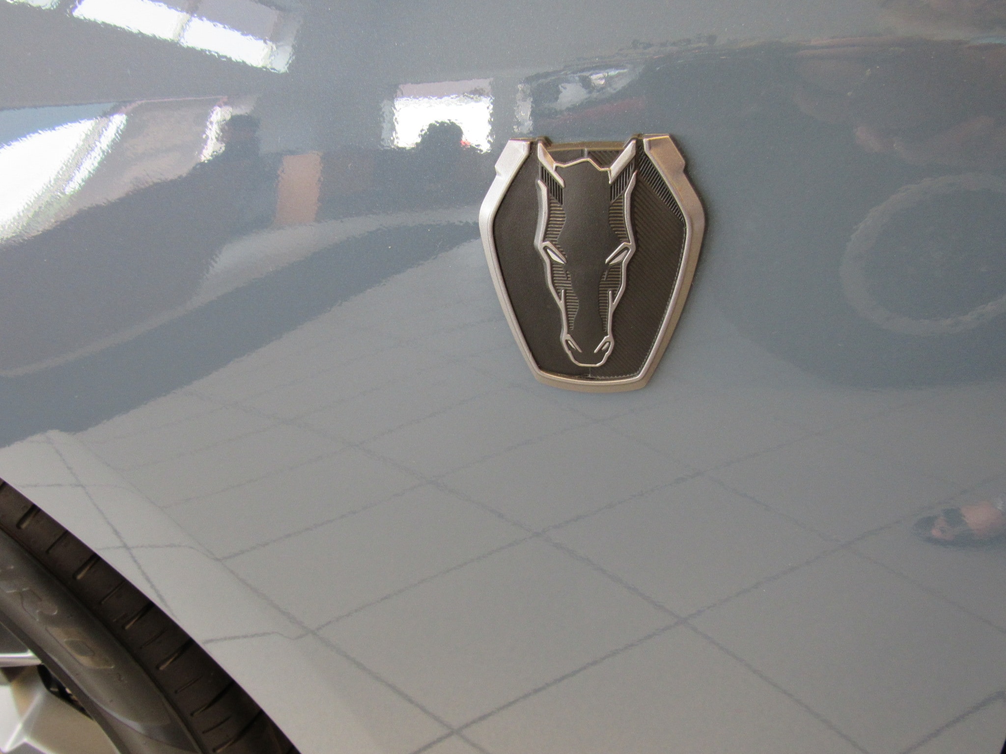 2025 Ford Mustang Dark Horse - Photo 17