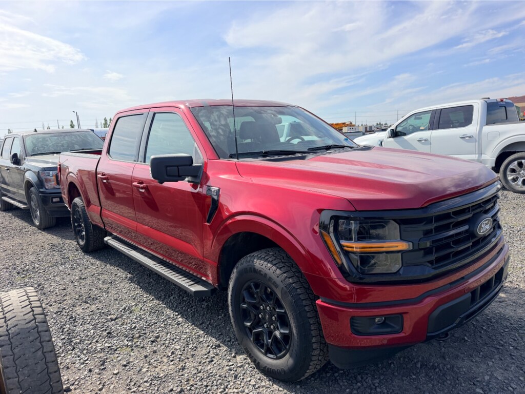 Used 2026 Ford F-150 XLT Cab; Super Crew