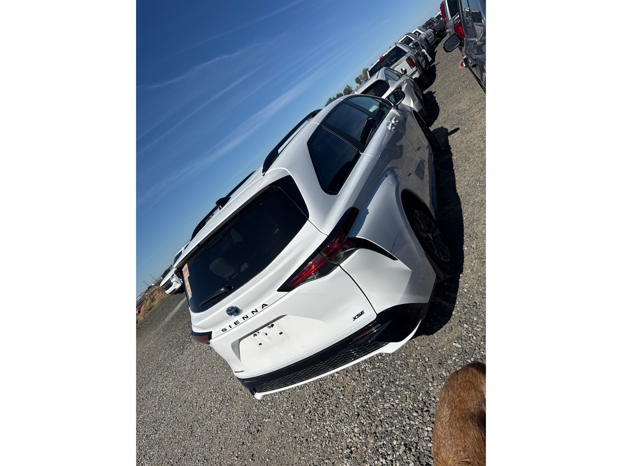 Used 2025 Toyota Sienna LE Van; Passenger