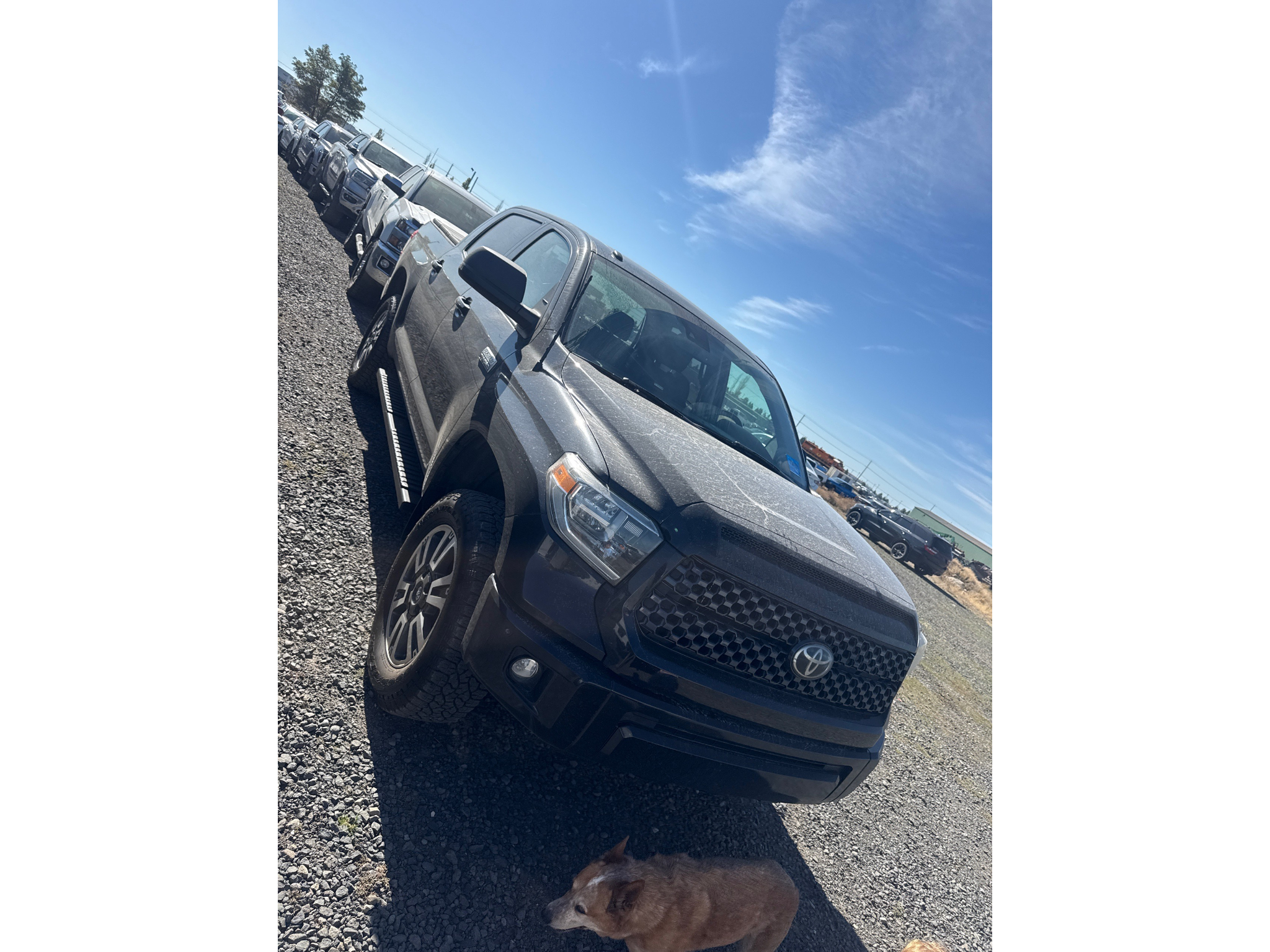 Used 2019 Toyota Tundra Platinum Cab; Crew Max