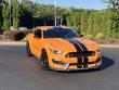 2018 Ford Mustang Shelby GT350 Fastback Coupe