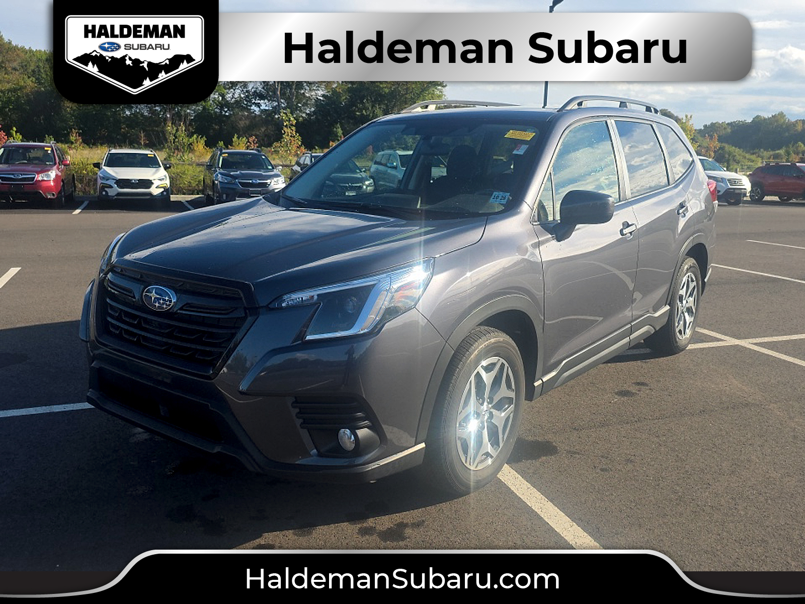  Subaru Forester