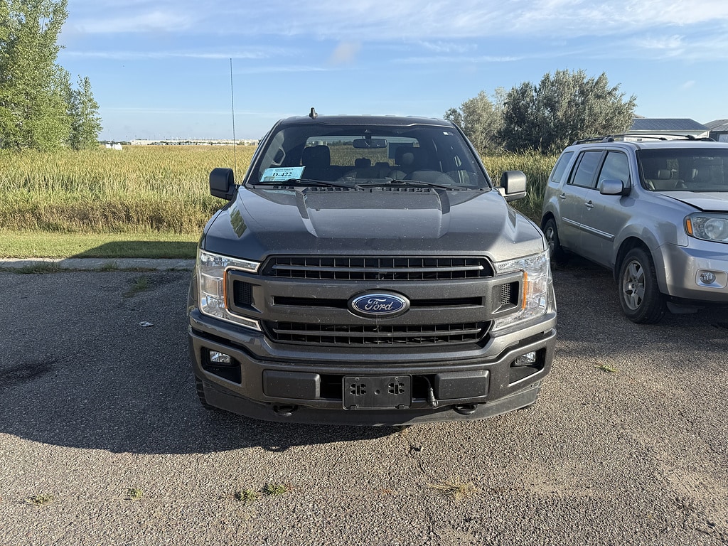Used 2019 Ford F-150 XLT Truck
