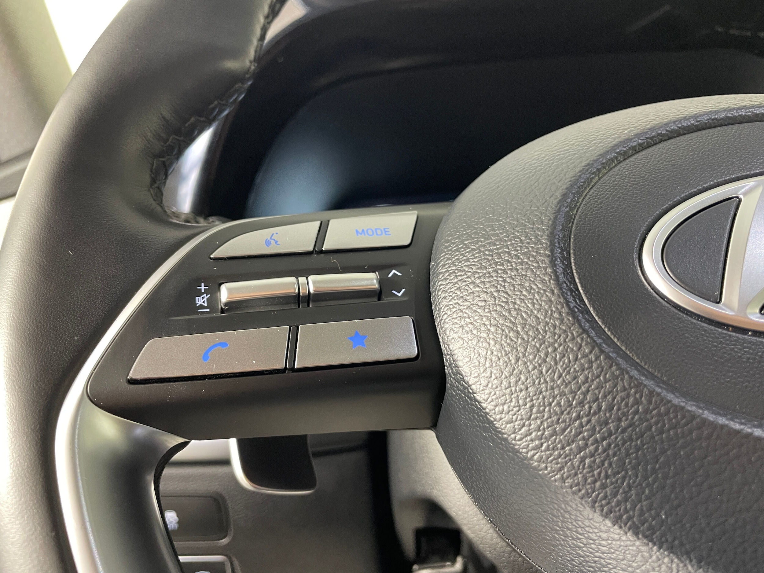 2023 Hyundai Palisade Limited - Photo 10