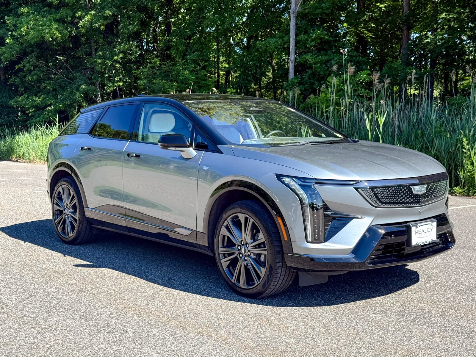  CADILLAC OPTIQ