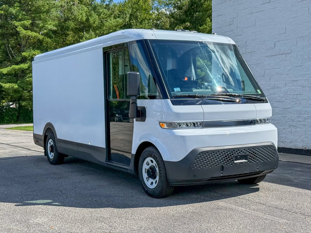 Used 2024 Brightdrop Zevo 600 EJY Van