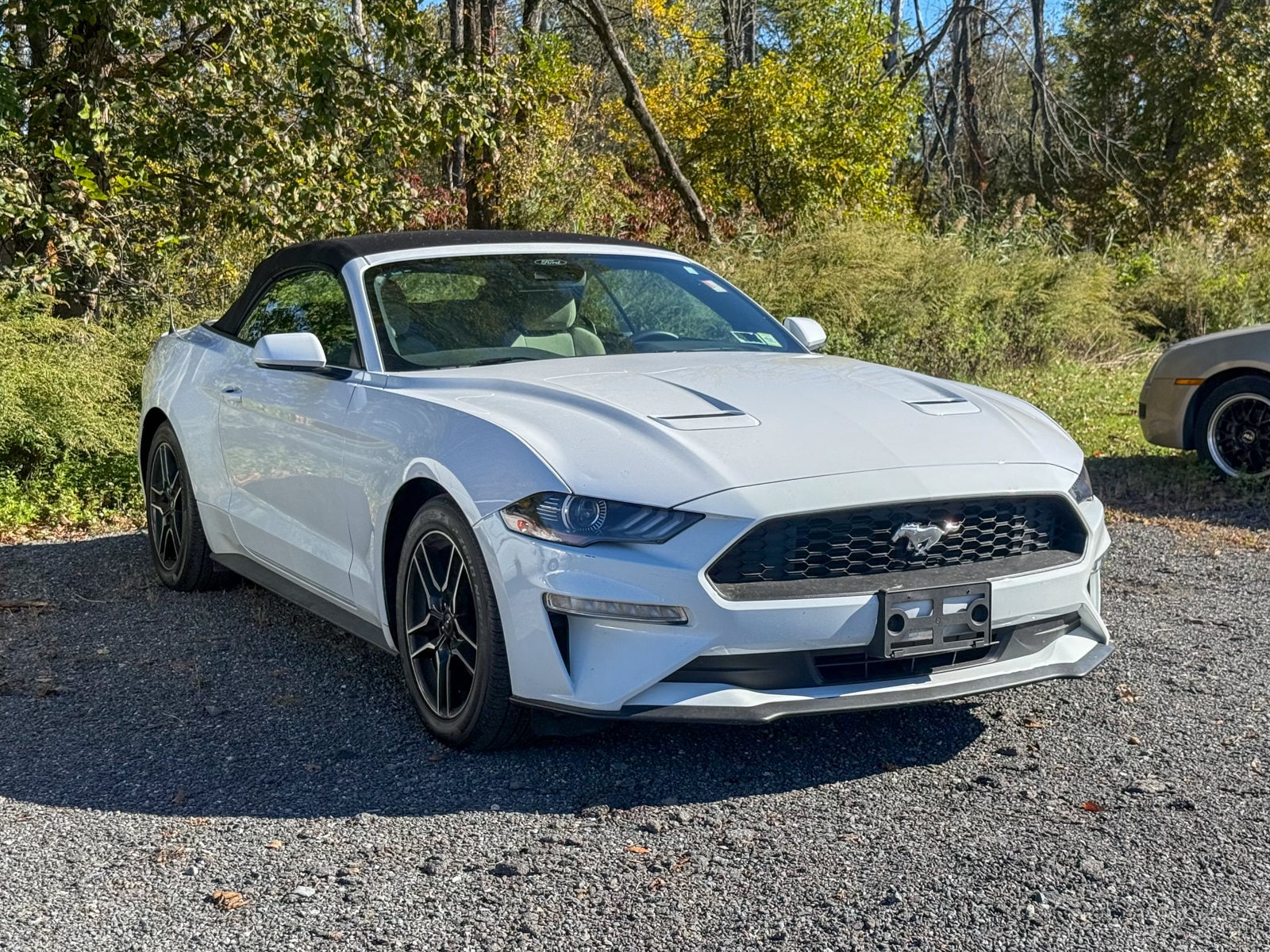 2022 Ford Mustang