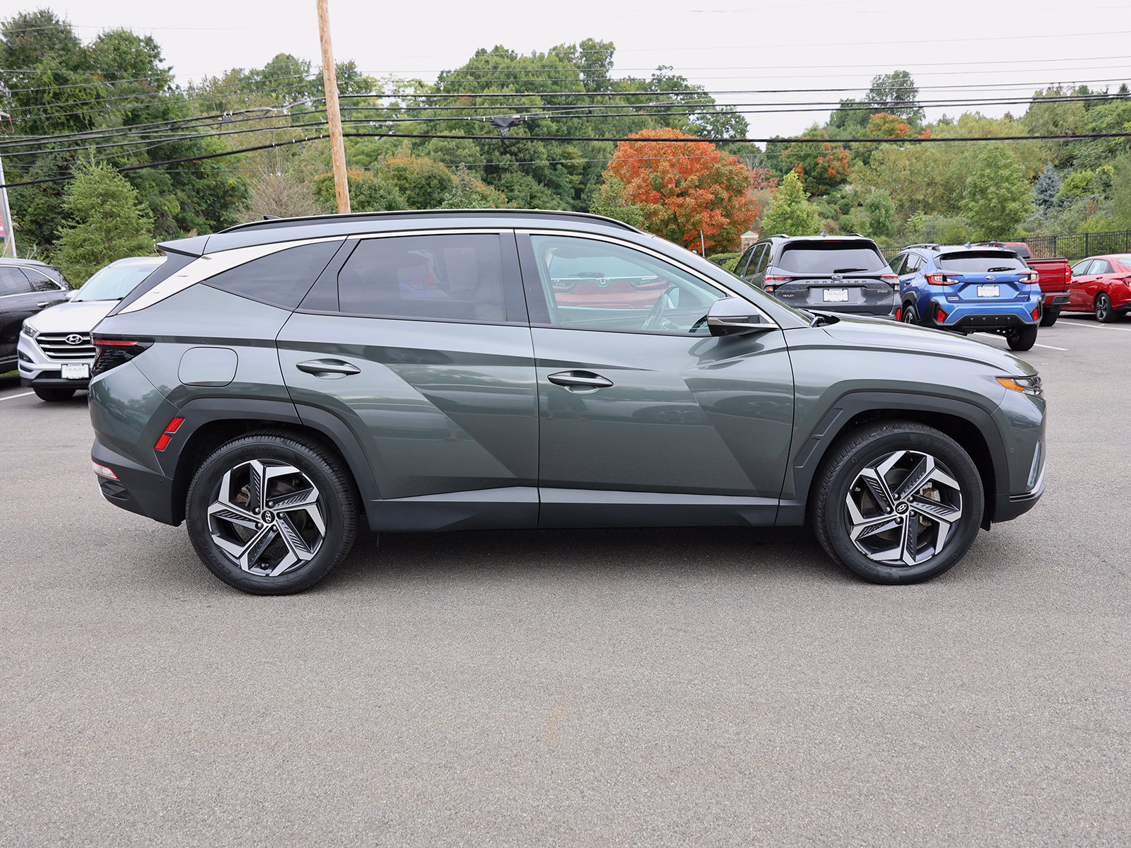 2024 Hyundai Tucson Limited - Photo 8