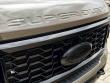 2026 Ford Super Duty F-450 DRW Platinum 4WD Crew Cab Pickup