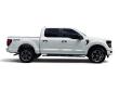 2024 Ford F-150 STX Pickup