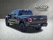 2023 Ford F-150 Platinum Pickup