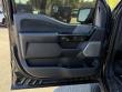 2023 Ford F-150 Platinum Pickup