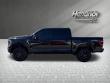 2023 Ford F-150 Platinum Pickup