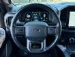 2023 Ford F-150 Platinum Pickup
