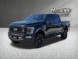 2023 Ford F-150 Platinum Pickup