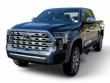 2025 Toyota Tundra 4WD 1794 Edition Pickup