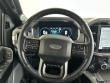 2022 Ford F-150 Platinum Pickup