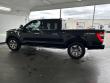 2022 Ford F-150 Platinum Pickup