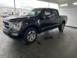 2022 Ford F-150 Platinum Pickup